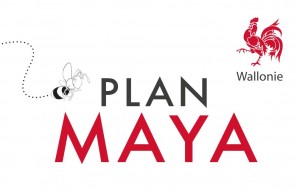 carte PLAN MAYA