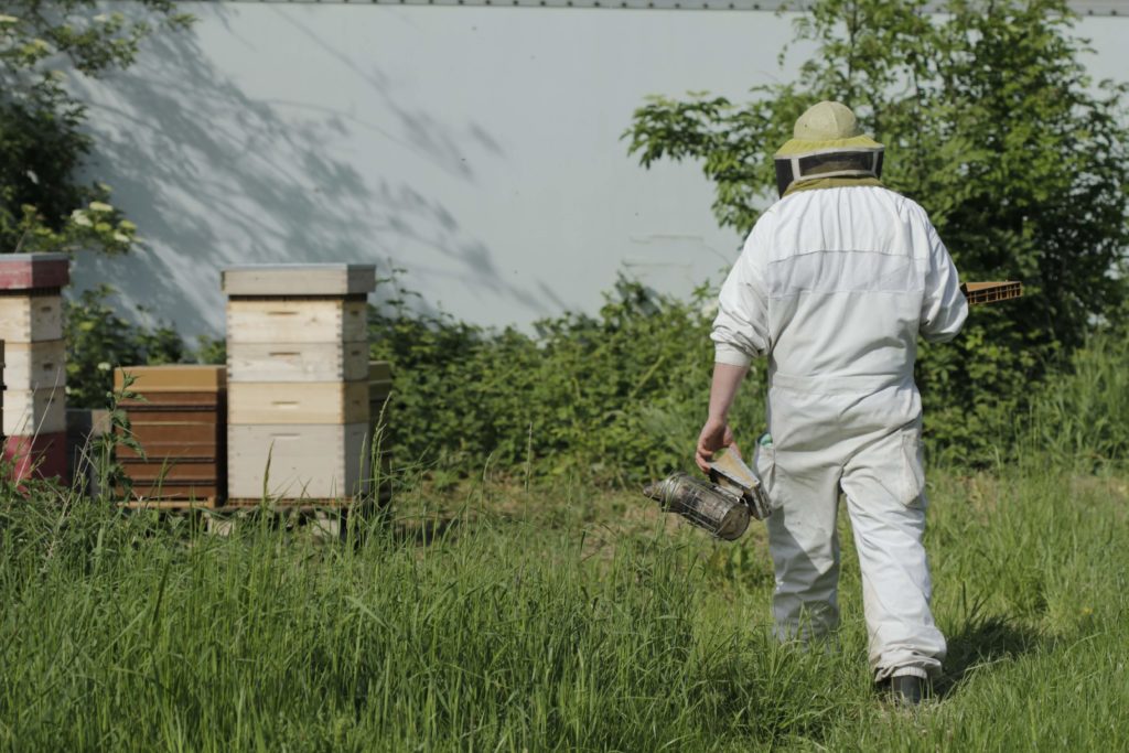 https://www.beewallonie.be/secteur-apicole-wallon/organisation-de-lapiculture-wallonne/