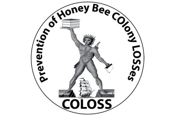 Coloss-1024x538-2-600x400